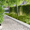 Nurmireunus 30 kpl 103 x 20 cm Teräs valkoinen