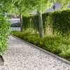 Nurmireunus 50 kpl 100 x 12 cm Stainless Steel Hopea