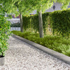Nurmireunus 20 kpl 100 x 25 cm Teräs Hopea