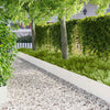 Nurmireunus 20 kpl 100 x 30 cm Teräs valkoinen