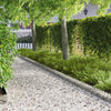 Nurmireunus 30 kpl 103 x 20 cm Teräs Hopea