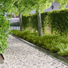 Nurmireunus 20 kpl 100 x 10 x 8 cm Teräs Hopea