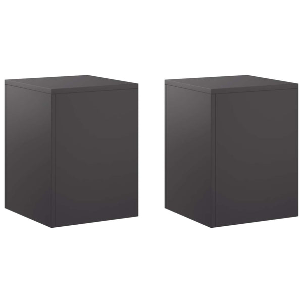 Kasviteline 2 pcs Musta 30 x 30 x 40 cm Teräs
