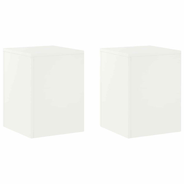 Kasviteline 2 pcs valkoinen 30 x 30 x 40 cm Teräs