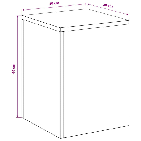 Kasviteline 2 pcs Hopea 30 x 30 x 40 cm Teräs