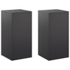 Kasviteline 2 pcs Musta 30 x 30 x 60 cm Teräs
