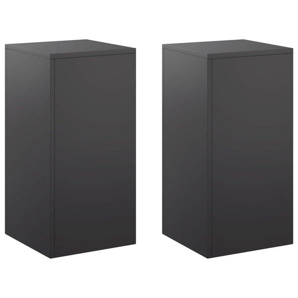 Kasviteline 2 pcs Musta 30 x 30 x 60 cm Teräs