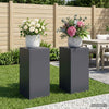 Kasviteline 2 pcs Antrasiitti 30 x 30 x 60 cm Galvanoitu teräs