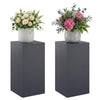 Kasviteline 2 pcs Antrasiitti 30 x 30 x 60 cm Galvanoitu teräs