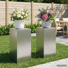 Kasviteline 2 pcs Hopea 30 x 30 x 60 cm Teräs