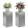 Kasviteline 2 pcs Hopea 30 x 30 x 60 cm Ruostumaton teräs