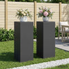 Kasviteline 2 pcs Musta 30 x 30 x 80 cm Teräs