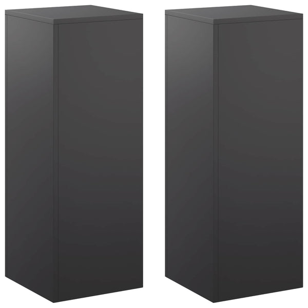 Kasviteline 2 pcs Musta 30 x 30 x 80 cm Teräs