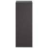 Kasviteline 2 pcs Musta 30 x 30 x 80 cm Teräs