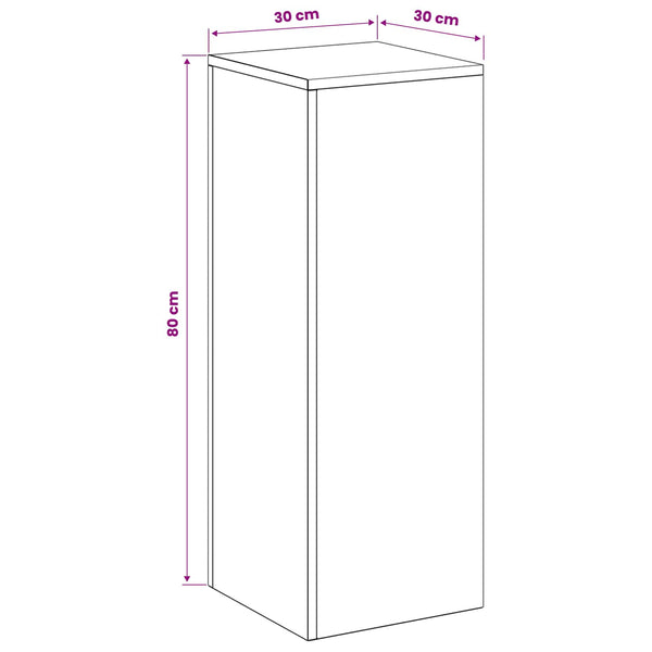 Kasviteline 2 pcs Musta 30 x 30 x 80 cm Teräs
