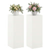 Kasviteline 2 pcs valkoinen 30 x 30 x 80 cm Teräs