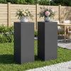 Kasviteline 2 pcs Antrasiitti 30 x 30 x 80 cm Galvanoitu teräs