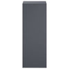 Kasviteline 2 pcs Antrasiitti 30 x 30 x 80 cm Galvanoitu teräs