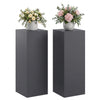 Kasviteline 2 pcs Antrasiitti 30 x 30 x 80 cm Galvanoitu teräs