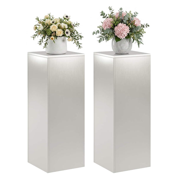 Kasviteline 2 pcs Hopea 30 x 30 x 80 cm Teräs
