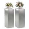 Kasviteline 2 pcs Hopea 30 x 30 x 80 cm Ruostumaton teräs