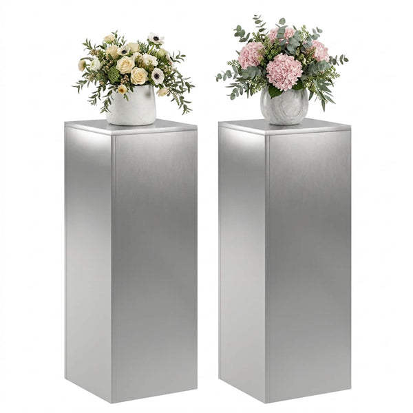 Kasviteline 2 pcs Hopea 30 x 30 x 80 cm Ruostumaton teräs