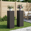 Kasviteline 2 pcs Musta 30 x 30 x 100 cm Teräs
