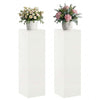 Kasviteline 2 pcs valkoinen 30 x 30 x 100 cm Teräs