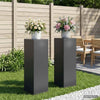 Kasviteline 2 pcs Antrasiitti 30 x 30 x 100 cm Galvanoitu teräs