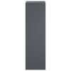 Kasviteline 2 pcs Antrasiitti 30 x 30 x 100 cm Galvanoitu teräs