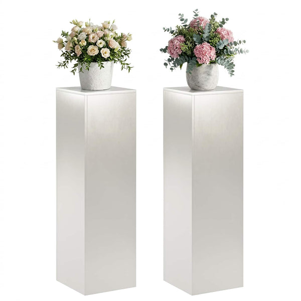 Kasviteline 2 pcs Hopea 30 x 30 x 100 cm Teräs