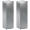 Kasviteline 2 pcs Hopea 30 x 30 x 100 cm Ruostumaton teräs