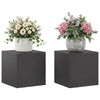 Kasviteline 2 pcs Musta 40 x 40 x 40 cm Teräs
