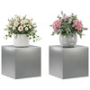 Kasviteline 2 pcs Hopea 40 x 40 x 40 cm Ruostumaton teräs