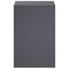 Kasviteline 2 pcs Antrasiitti 40 x 40 x 60 cm Galvanoitu teräs