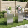 Kasviteline 2 pcs Hopea 40 x 40 x 60 cm Ruostumaton teräs