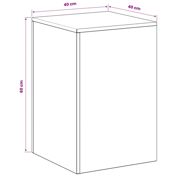 Kasviteline 2 pcs Hopea 40 x 40 x 60 cm Ruostumaton teräs