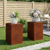 Kasviteline 2 pcs Ruosteinen 40 x 40 x 60 cm Säänkestävä teräs