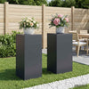 Kasviteline 2 pcs Antrasiitti 40 x 40 x 80 cm Galvanoitu teräs