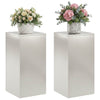 Kasviteline 2 pcs Hopea 40 x 40 x 80 cm Teräs