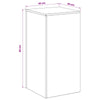 Kasviteline 2 pcs Hopea 40 x 40 x 80 cm Ruostumaton teräs