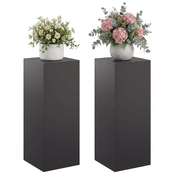 Kasviteline 2 pcs Musta 40 x 40 x 100 cm Teräs