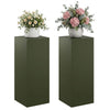 Kasviteline 2 pcs Oliivinvihreä 40 x 40 x 100 cm Teräs