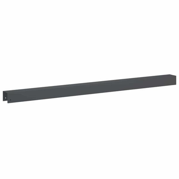 Puutarhan reunusprofiili 10 kpl 100 x 6 x 5 cm Teräs