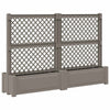 Iso istutusruukku tikkaille 2 pcs Harmaa 200 x 43 x 133,5 cm PP