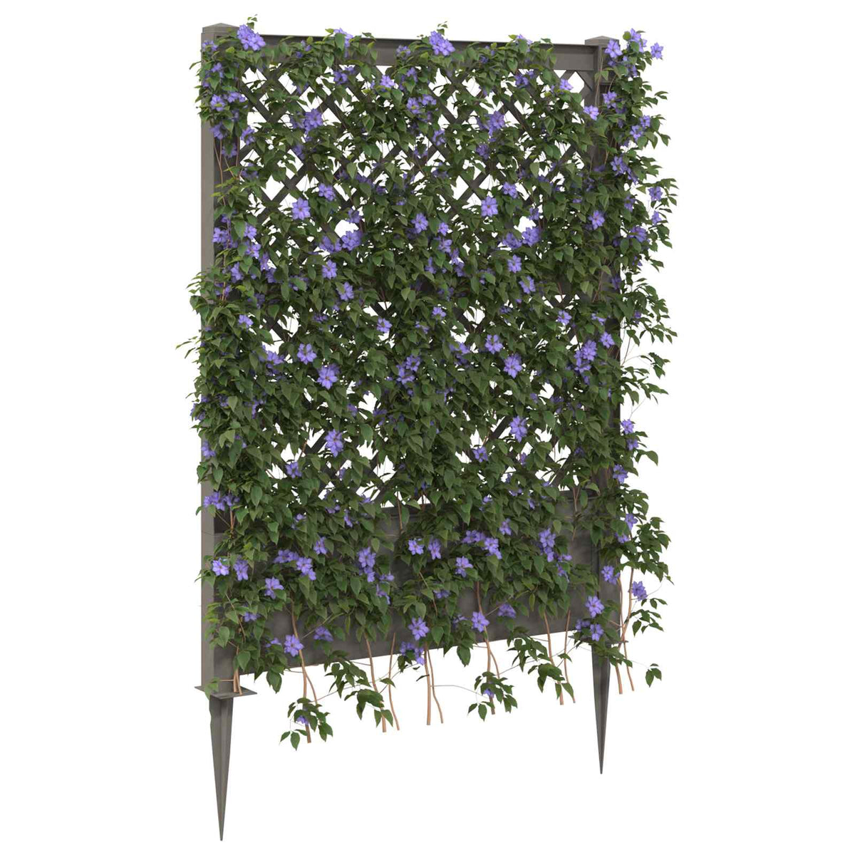 Trellis piikillä Harmaa 99 x 6 x 165 cm PP