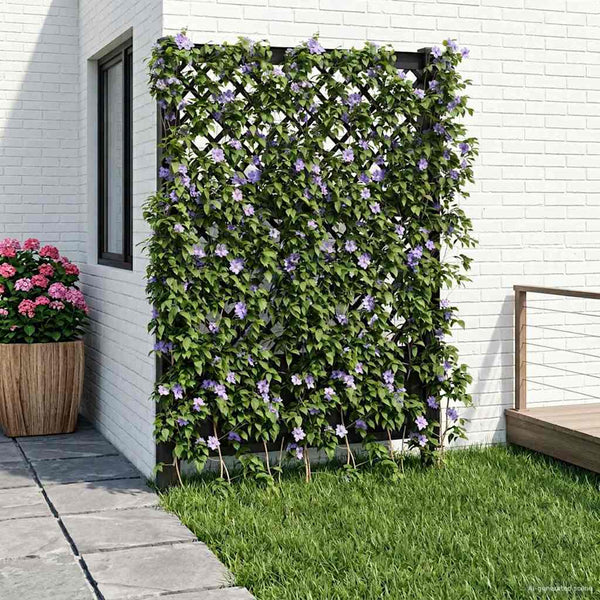 Trellis piikillä Antrasiitti 99 x 6 x 165 cm PP