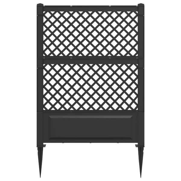 Trellis piikillä Antrasiitti 99 x 6 x 165 cm PP