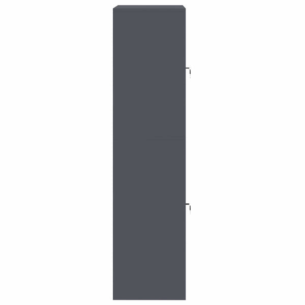 Säilytyskaappi 2 kpl Antrasiitti 80 x 40 x 160 cm Teräs