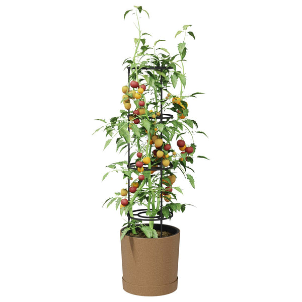 Tomaattikasvattaja Naturo ECO Ø 39 x 139 cm WPC